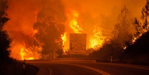 Apelo de emergência para apoio às vítimas do incêndio de Pedrógão Grande